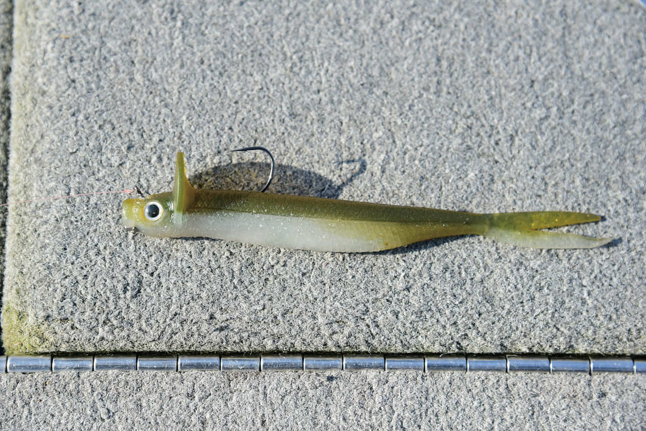 ｜デカいバスにはデカいルアー。山田祐五が貫く「不滅の法則」と、凍てつく湖上のリアル