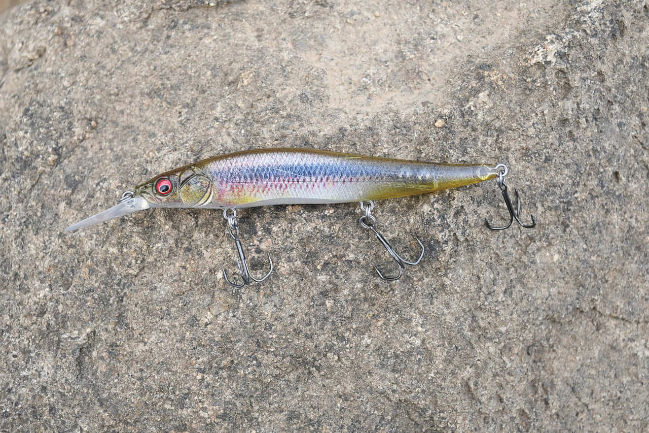 ｜オカッパリだから釣れる「でかバス」は確実に存在する! 「真冬に浅場を狙うetc…」岸釣り最新理論