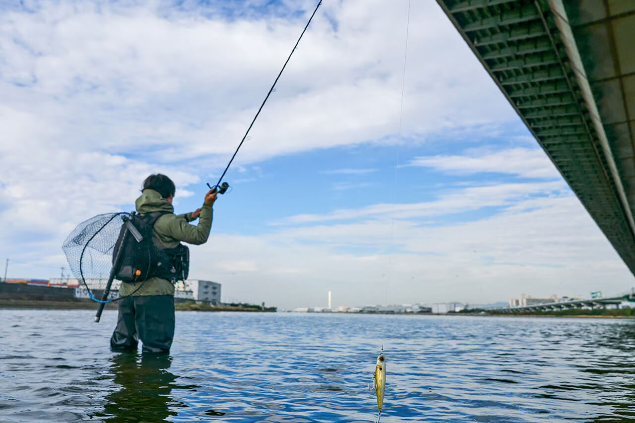 ｜シマノから登場する『魚種無制限ペンシル』。世界基準の高強度ボディで、モンスタークラスを狙える1本に。