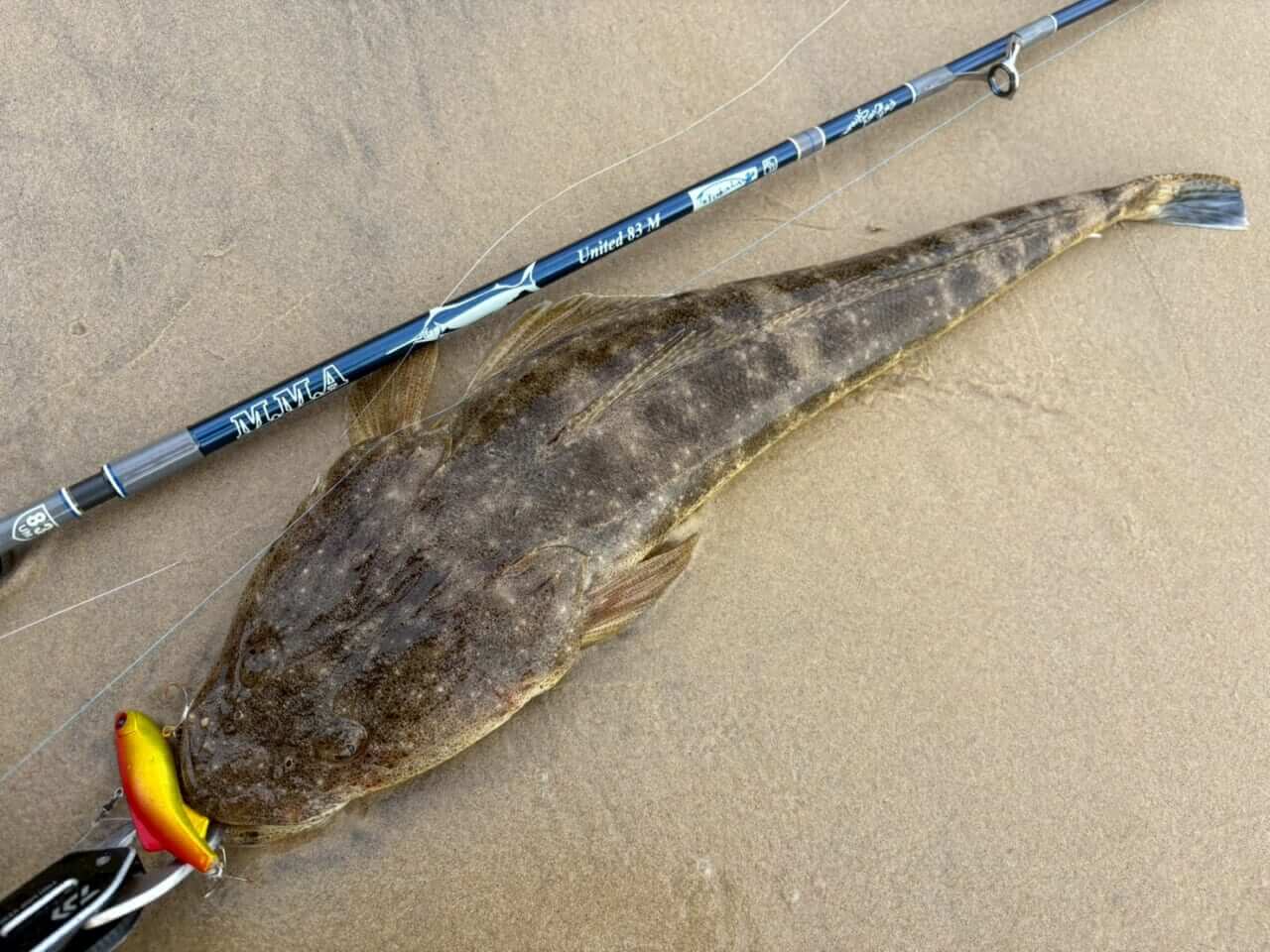 ｜「この魚はオーストラリアにしかいないヤツ！」総距離4200キロを渡る18日間のロードトリップを振り返る。