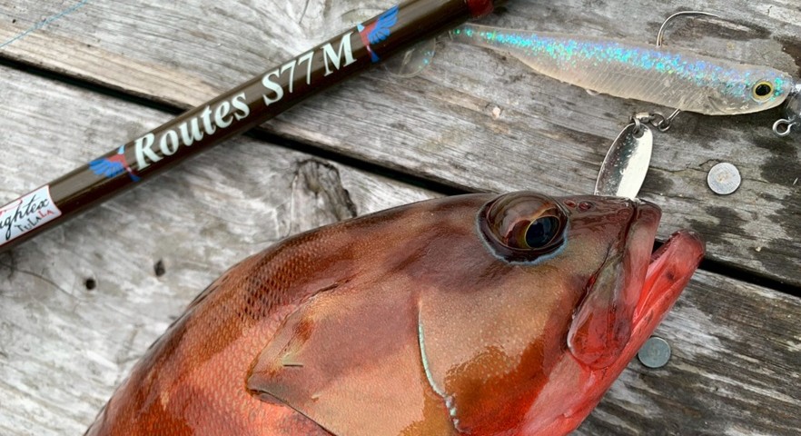 |TULALAのNEWパックロッド2本を「釣り比べ」。見えてきた“違い”と“使い分け”を徹底解説。