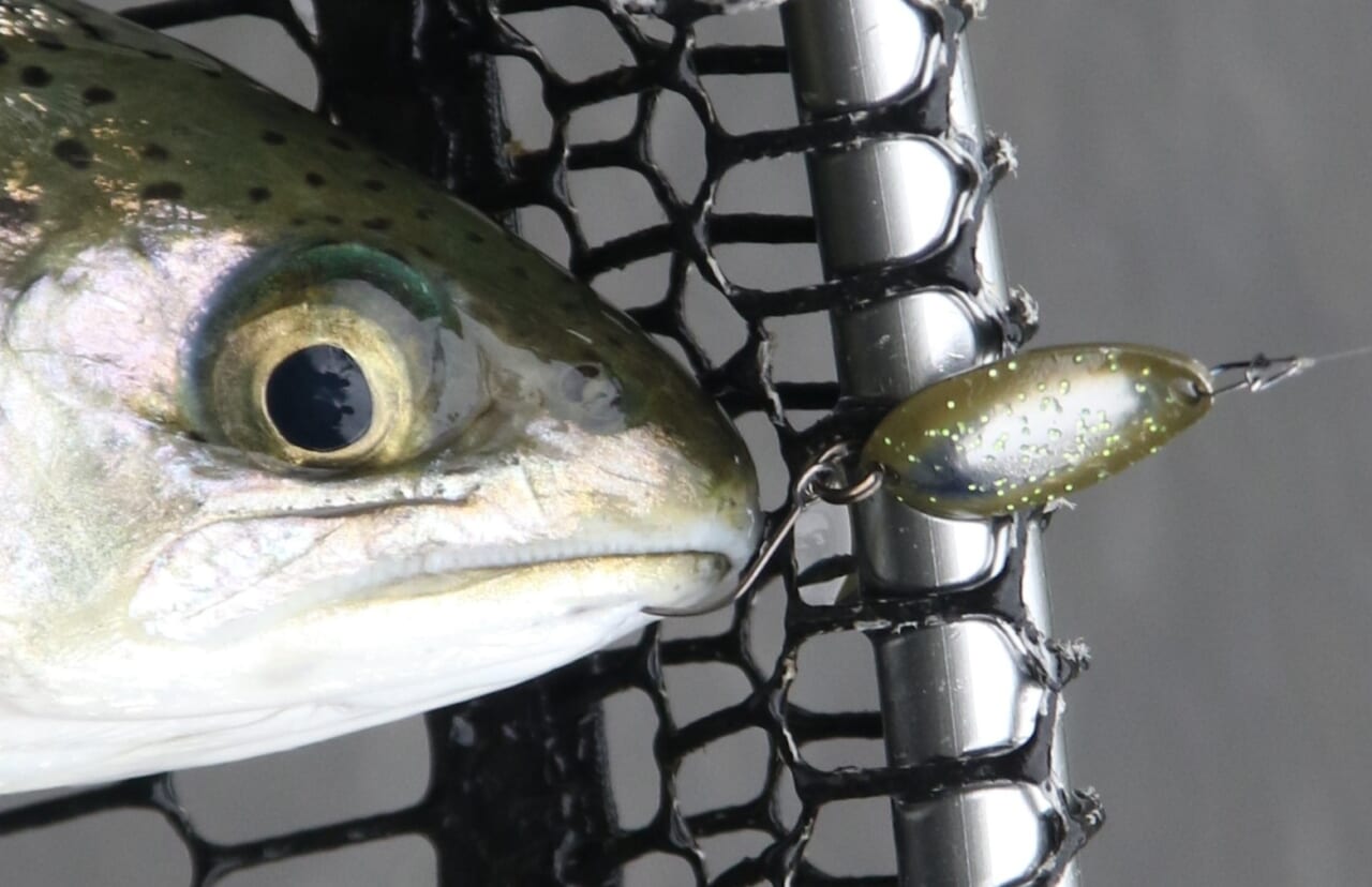 ｜４大エリアトラウト用フックを徹底解説！ 釣れるフックの選び方【ヴァンフック】