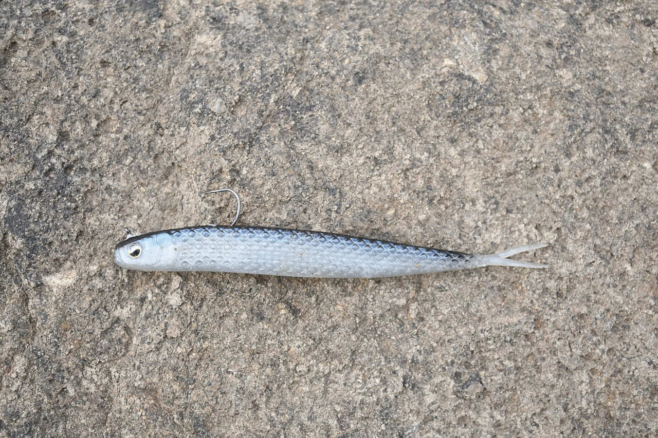 ｜オカッパリだから釣れる「でかバス」は確実に存在する! 「真冬に浅場を狙うetc…」岸釣り最新理論