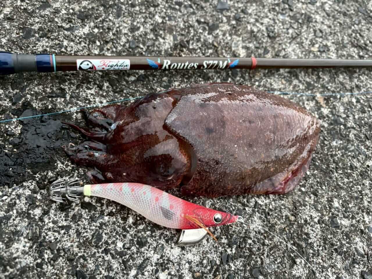 ｜TULALAのNEWパックロッド2本を「釣り比べ」。見えてきた“違い”と“使い分け”を徹底解説。