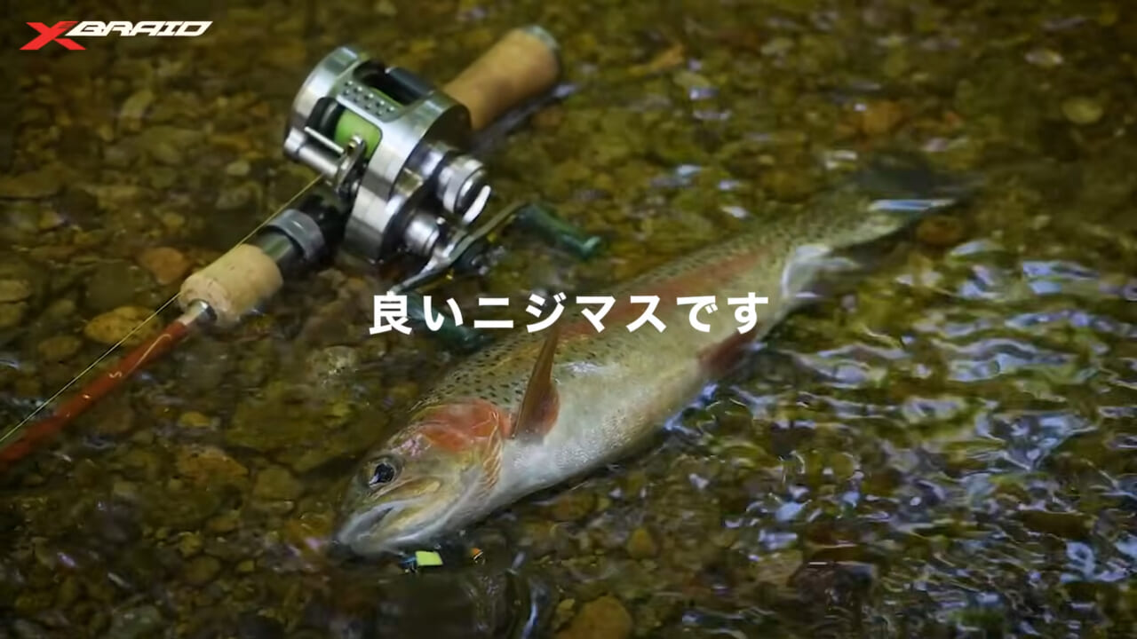 |渓流のトラウトを「ベイトタックル」で狙う!セミ型トップとシンキングミノーに活きるライン選びとは?