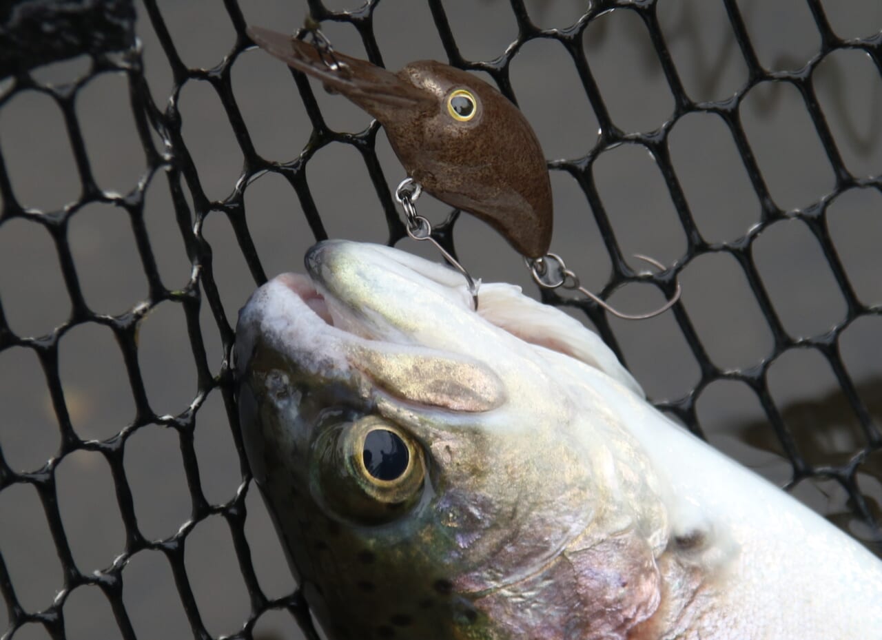 ｜４大エリアトラウト用フックを徹底解説！ 釣れるフックの選び方【ヴァンフック】
