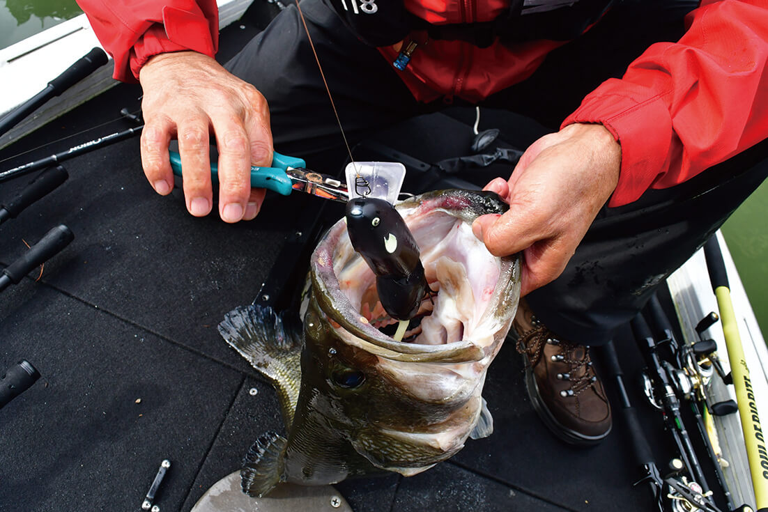 |菊元俊文の技術、こだわり、信念。そして「魂」