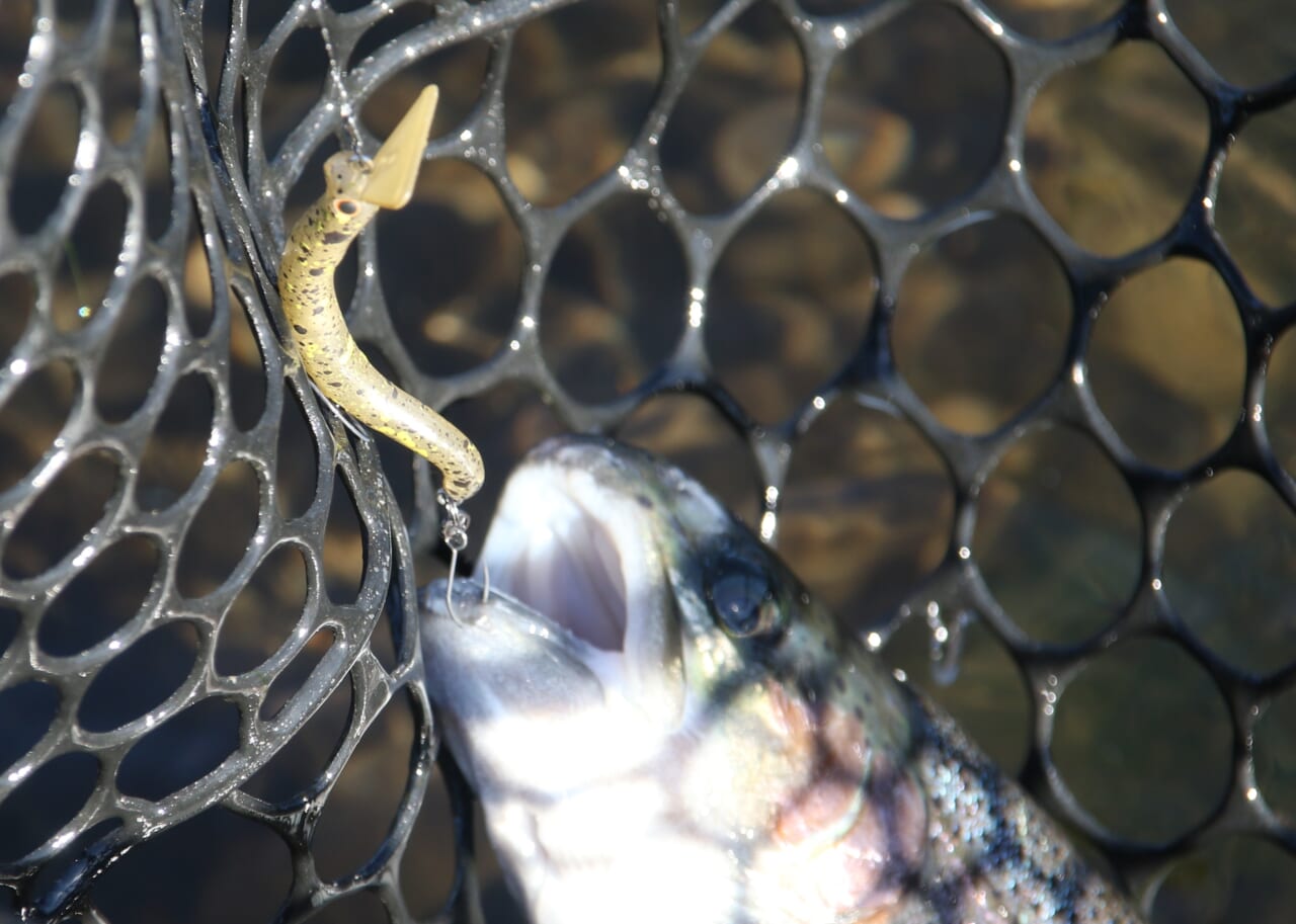 ｜「こんなに変わるの!?」SLPワークスからの新たな提案。エアドライブローターアップグレードサービスを体感してみた。