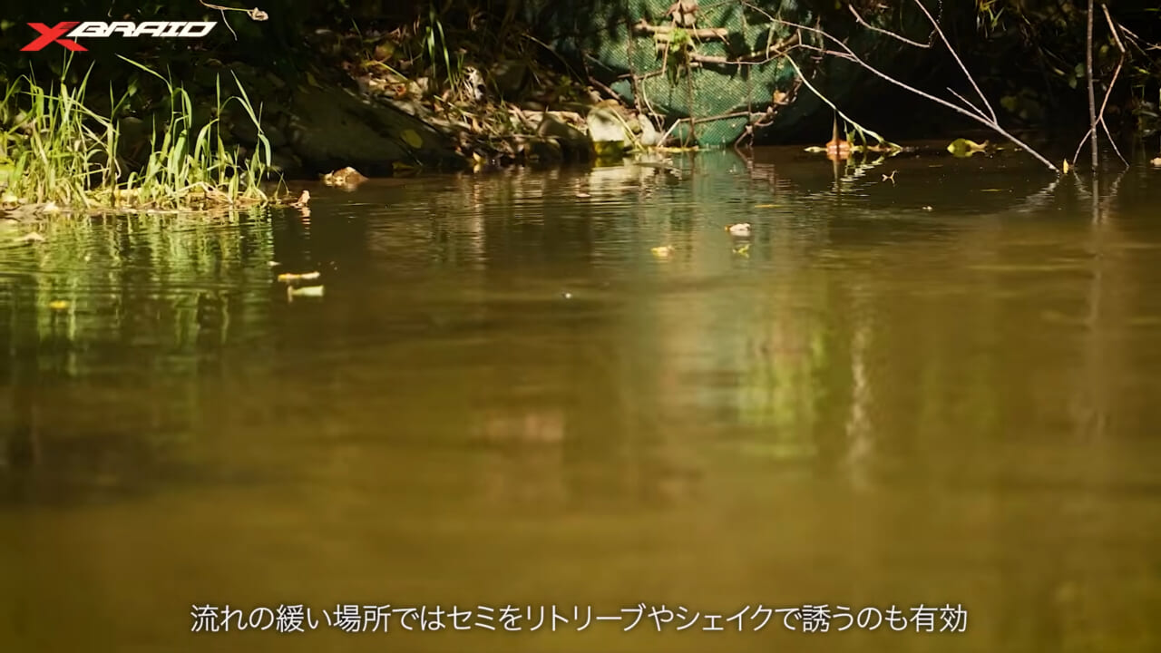 ｜渓流のトラウトを「ベイトタックル」で狙う！セミ型トップとシンキングミノーに活きるライン選びとは？