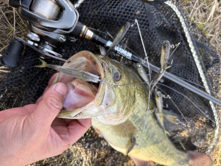 ｜狙い通りの一撃。大興奮のドルフィンバイトをぜひ！ バマストを使いやすくするワンポイントチューンとは？