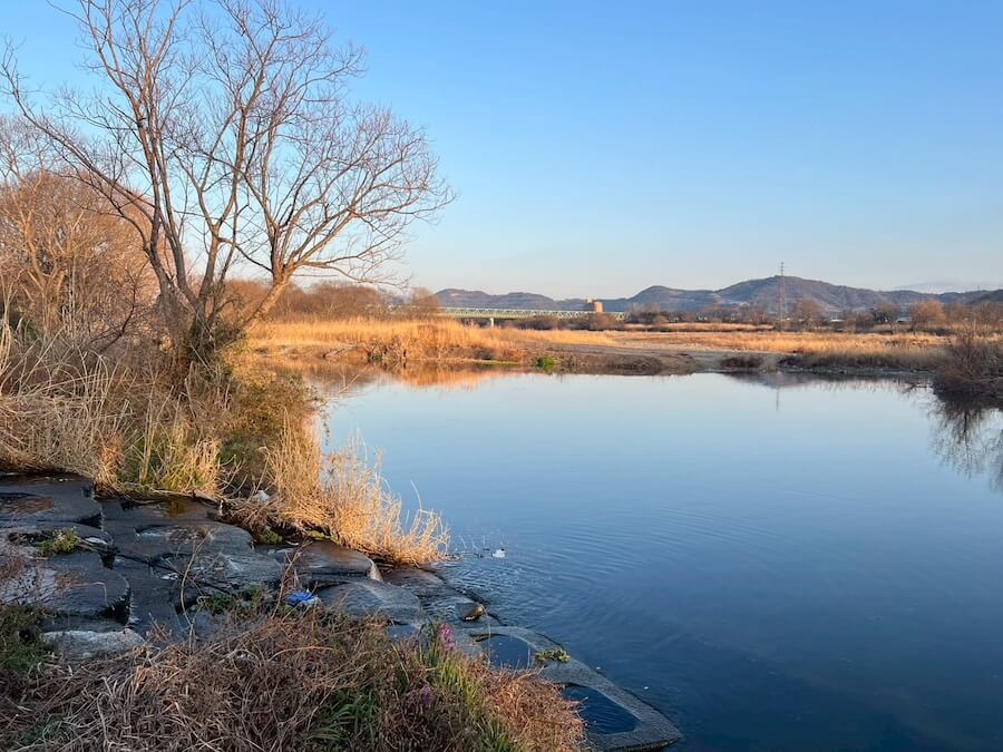 ｜濁ってもこのルアーはしっかり食う！この日の大半がこのワームでキャッチ。早春も忘れてはいけない必釣アイテム【鈴木翔のIT’S SHO TIME !!!】