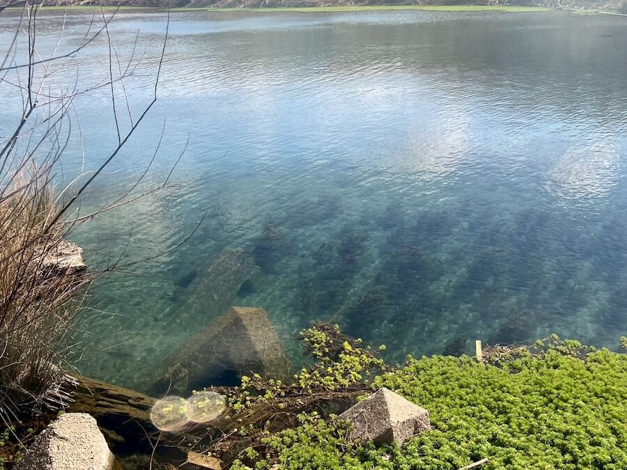 ｜濁ってもこのルアーはしっかり食う！この日の大半がこのワームでキャッチ。早春も忘れてはいけない必釣アイテム【鈴木翔のIT’S SHO TIME !!!】