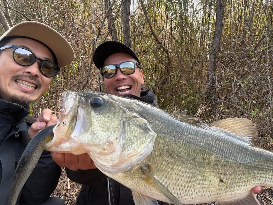 ｜ヤバすぎるデッドデッド巻き…。シャローで一撃でデカバスゲット！「このルアーパワー、ホンモノです」