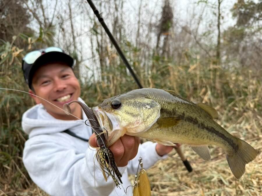 ｜「無双しちゃいました笑！」早春だけど数釣りをエンジョイ。ミドストはボトムちょい上を意識しましょう