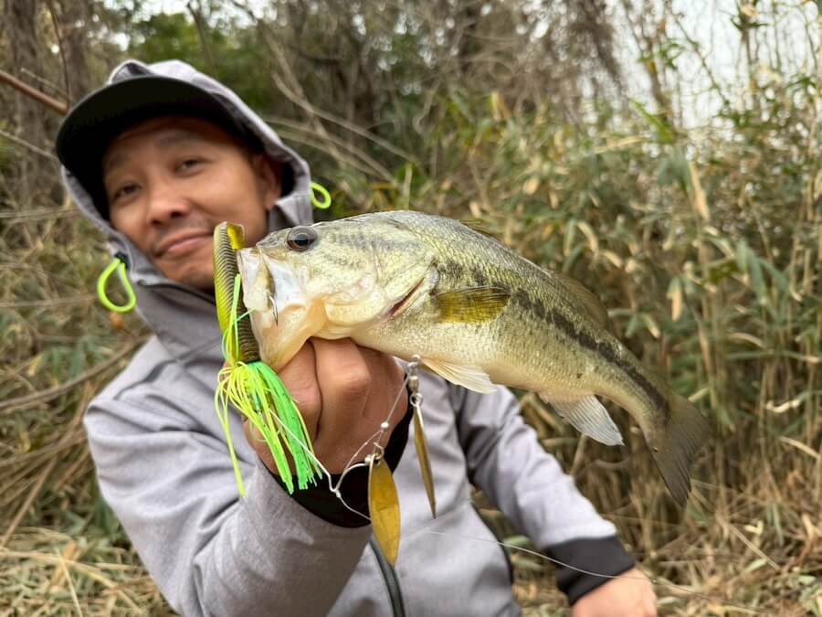 ｜「無双しちゃいました笑！」早春だけど数釣りをエンジョイ。ミドストはボトムちょい上を意識しましょう