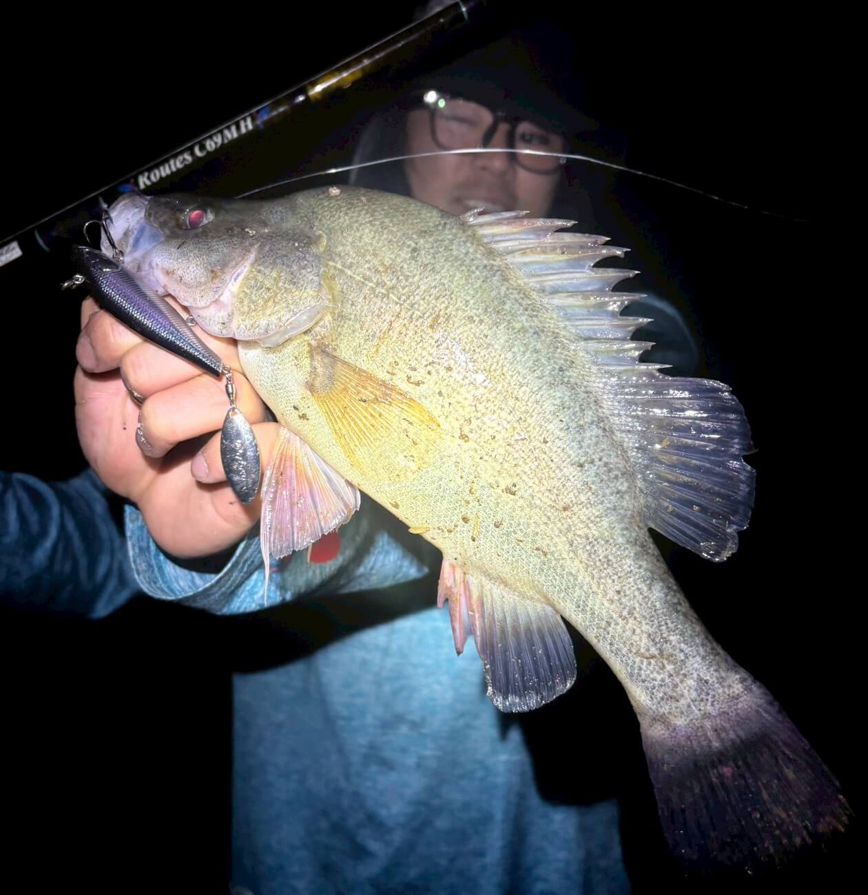 ｜「この魚はオーストラリアにしかいないヤツ！」総距離4200キロを渡る18日間のロードトリップを振り返る。