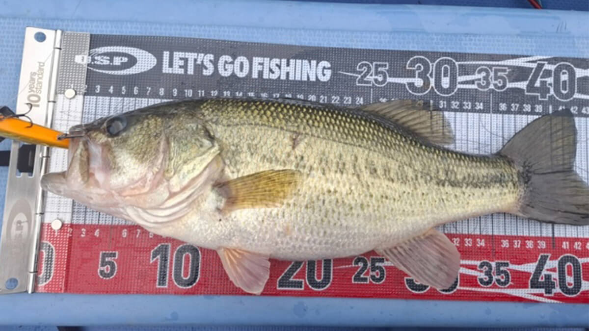 ｜まだまだ春とは呼べない水温。悪いコンディションでも魚を釣るその考え方とは!? 【オリキンもばいる】