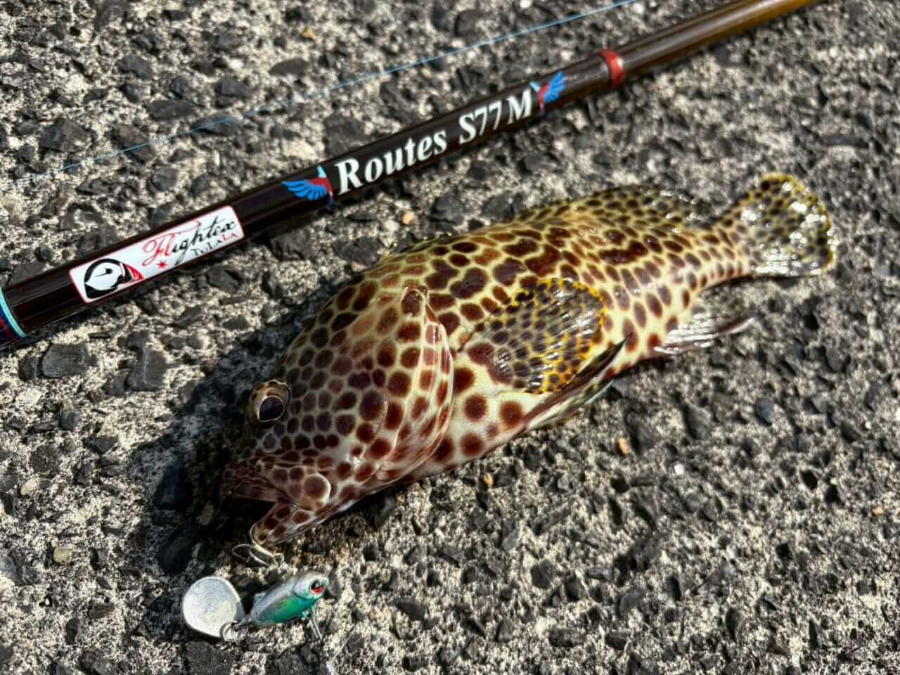 |TULALAのNEWパックロッド2本を「釣り比べ」。見えてきた“違い”と“使い分け”を徹底解説。