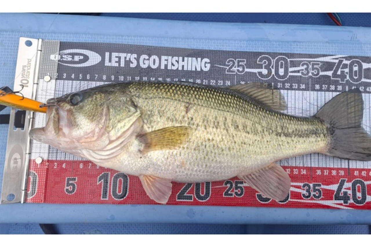 ｜まだまだ春とは呼べない水温。悪いコンディションでも魚を釣るその考え方とは!? 【オリキンもばいる】