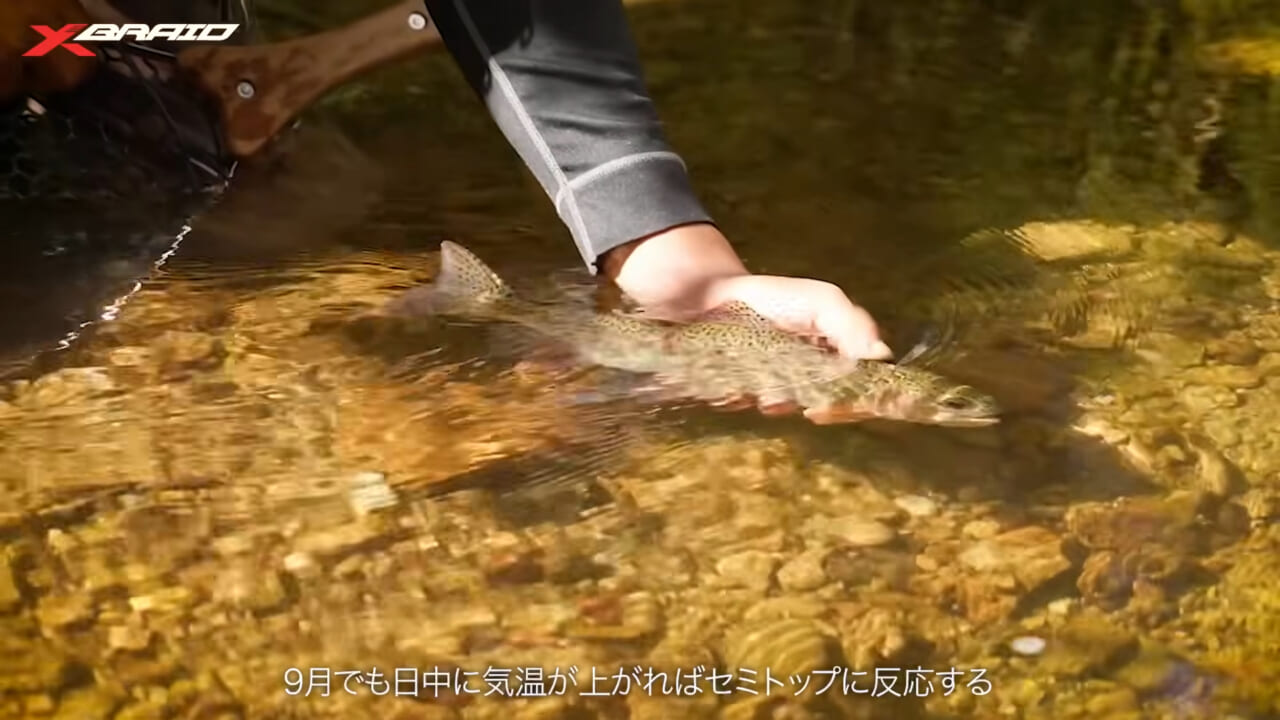 ｜渓流のトラウトを「ベイトタックル」で狙う！セミ型トップとシンキングミノーに活きるライン選びとは？
