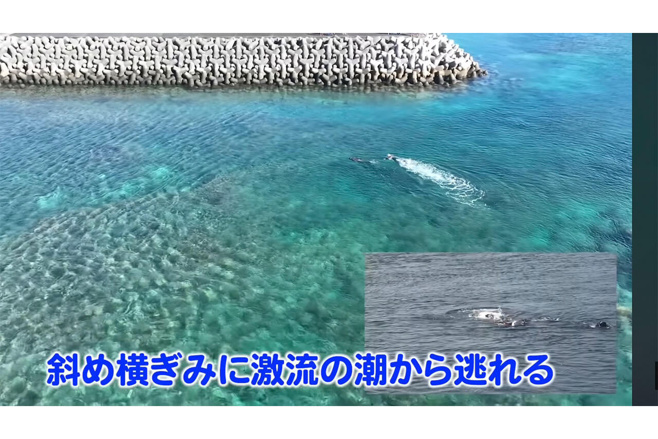 ｜「ヤバい！ヤバい！」「無理だ、進まない」離岸流の恐ろしさを体験。流されたときの脱出方法と対策とは。「海上保安庁から呼び出されました」