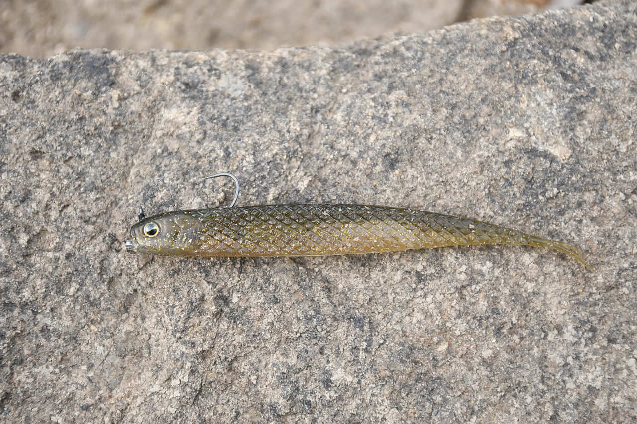 ｜オカッパリだから釣れる「でかバス」は確実に存在する! 「真冬に浅場を狙うetc…」岸釣り最新理論