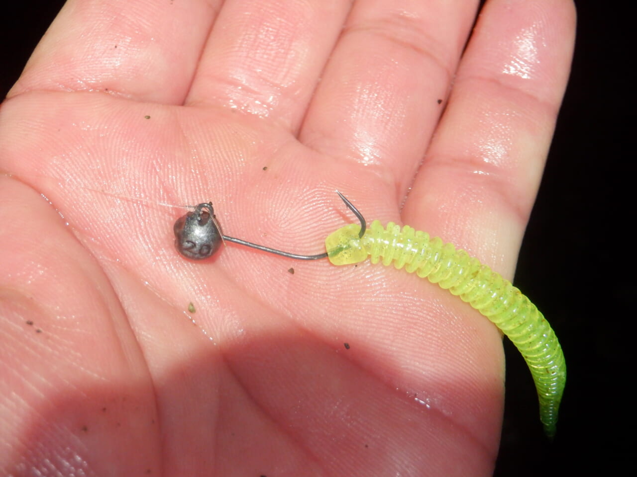 ｜【なんで釣れるの⁉】ライトゲームタックルで驚きの巨大魚⁉ 秘密はタックルセレクトとドラグ設定にあった!! ソフトボディ+ブレードの気になる新作ルアーも【今日もいいチョーシ】