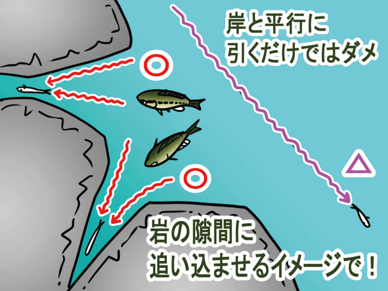 ｜オカッパリだから釣れる「でかバス」は確実に存在する! 「真冬に浅場を狙うetc…」岸釣り最新理論