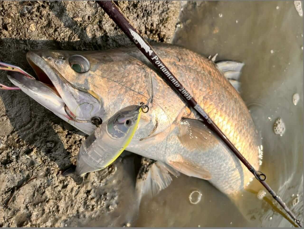 |TULALAのNEWパックロッド2本を「釣り比べ」。見えてきた“違い”と“使い分け”を徹底解説。