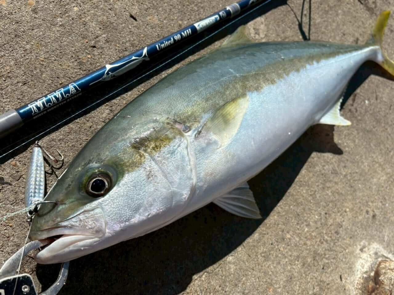 ｜TULALAのNEWパックロッド2本を「釣り比べ」。見えてきた“違い”と“使い分け”を徹底解説。