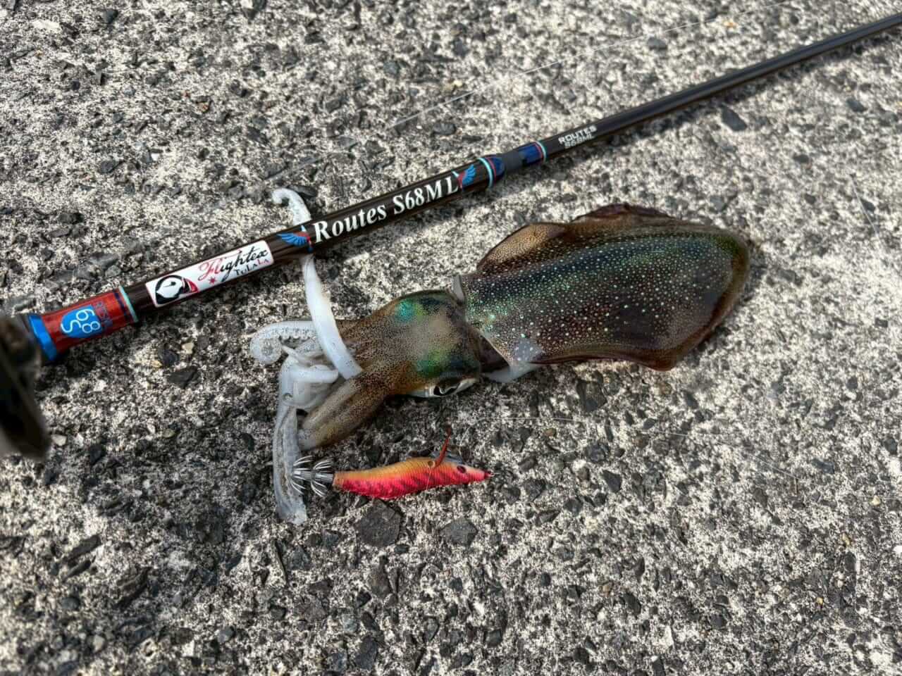 |TULALAのNEWパックロッド2本を「釣り比べ」。見えてきた“違い”と“使い分け”を徹底解説。