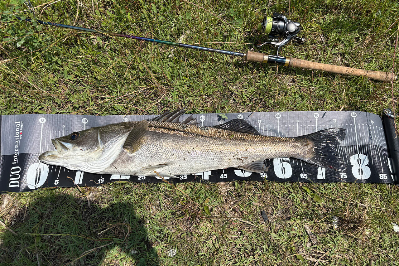 ｜「こんなにメリットがあるって知ってた？」僕がシーバスでレバーブレーキリールを使う理由。