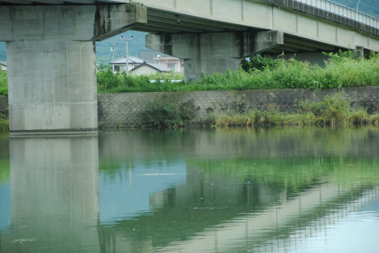 ｜【佐々木勝也VS植盛幹太DAY1】岸釣りNEWスター対決！復活の旧吉野川戦はロースコアスタート⁉【釣果推移で追う陸王WEBスペシャル】