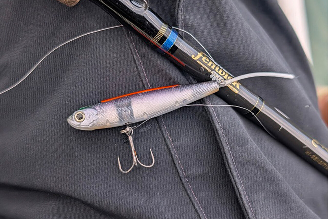 ｜過去にないほど減水中の相模湖。それでも釣果に結び付ける方法とは？【大津清彰のバス釣り真相解明】