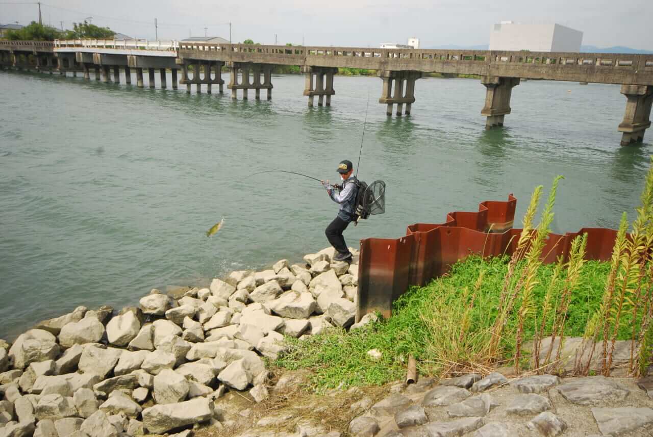｜【佐々木勝也VS植盛幹太DAY1】岸釣りNEWスター対決！復活の旧吉野川戦はロースコアスタート⁉【釣果推移で追う陸王WEBスペシャル】