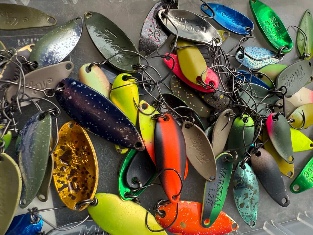 |【エリアトラウト】スプーンの達人が魅せる攻略のための思考術とは?