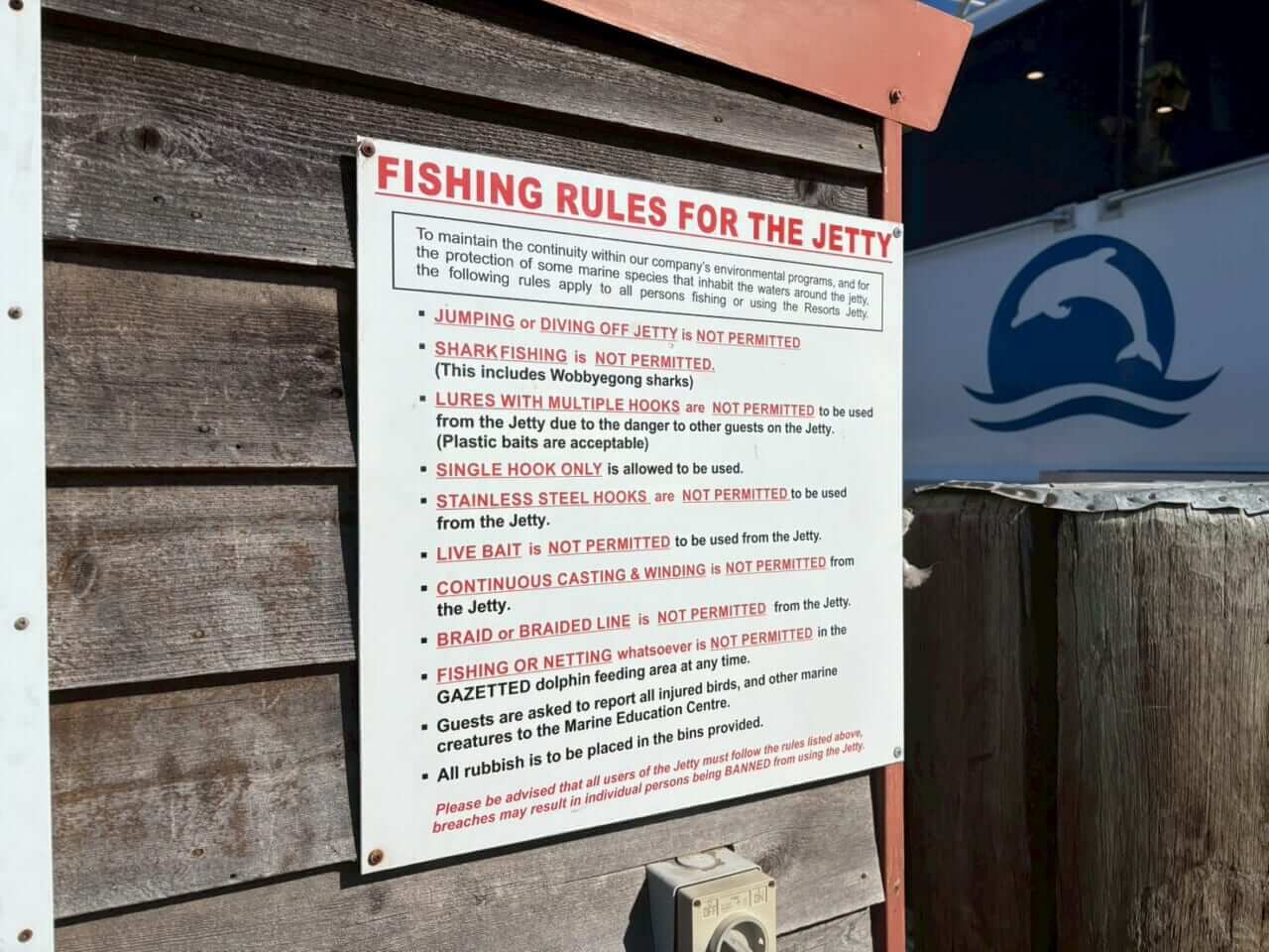 ｜「この魚はオーストラリアにしかいないヤツ！」総距離4200キロを渡る18日間のロードトリップを振り返る。