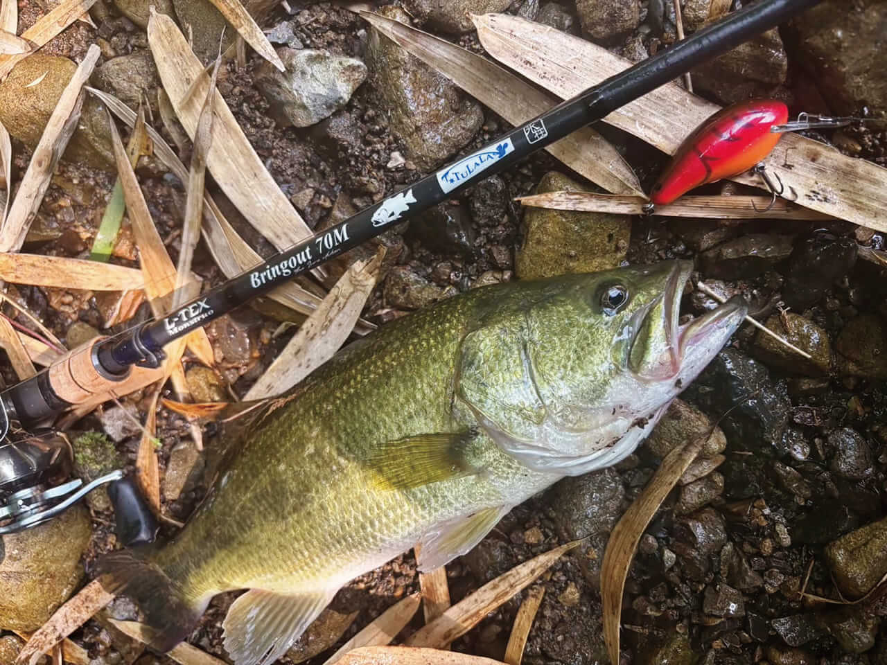 ｜ティップ波うちクランク踊る摩訶不思議ロッド