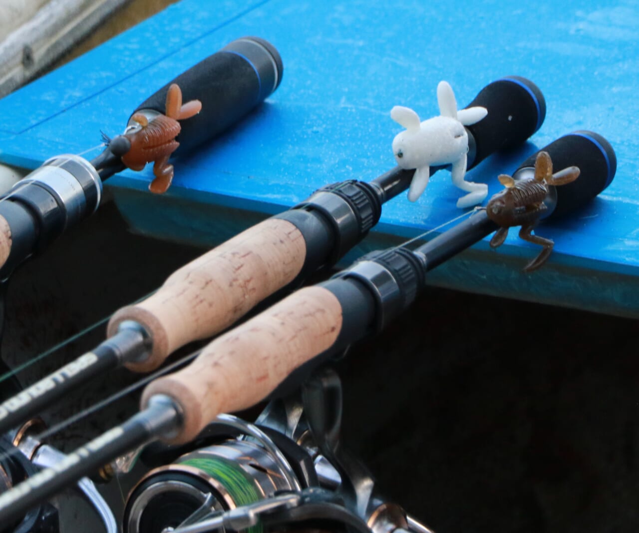 ｜カエルパーティ潜入取材!! 目指せカエルの王