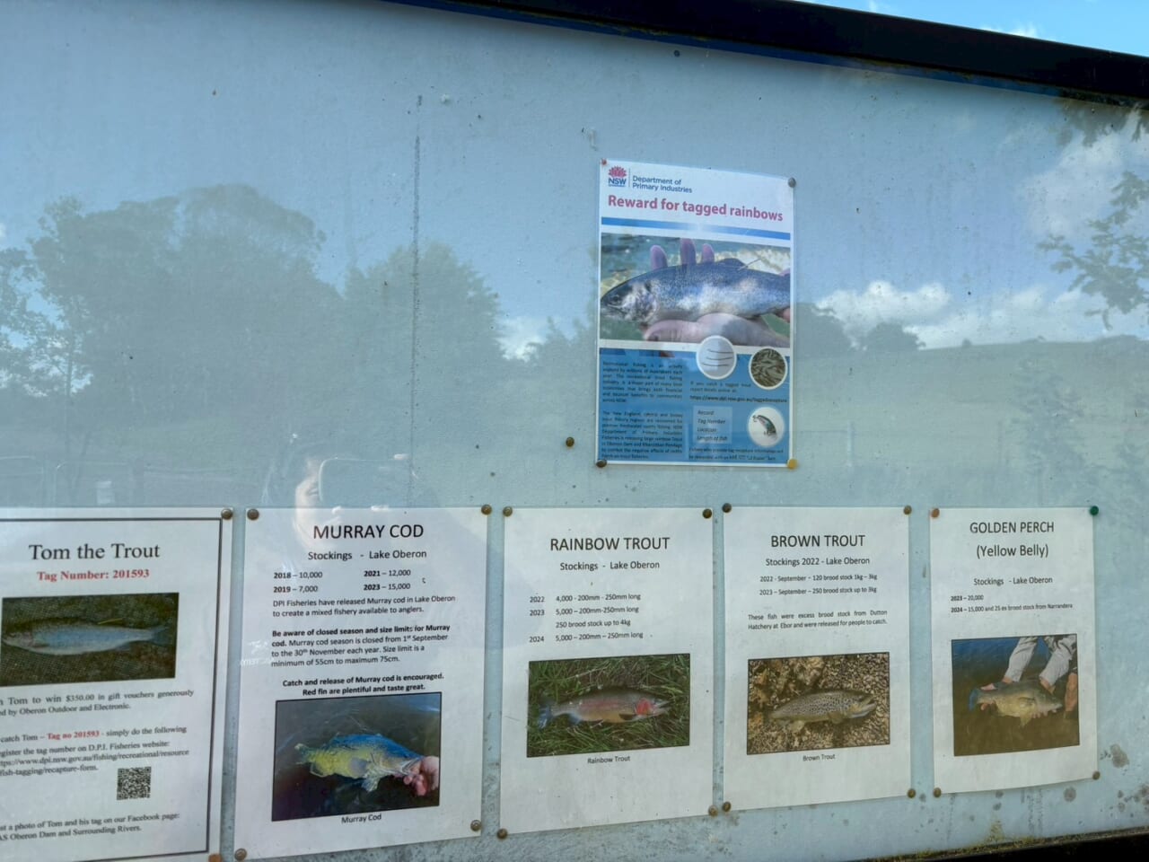 ｜「この魚はオーストラリアにしかいないヤツ！」総距離4200キロを渡る18日間のロードトリップを振り返る。