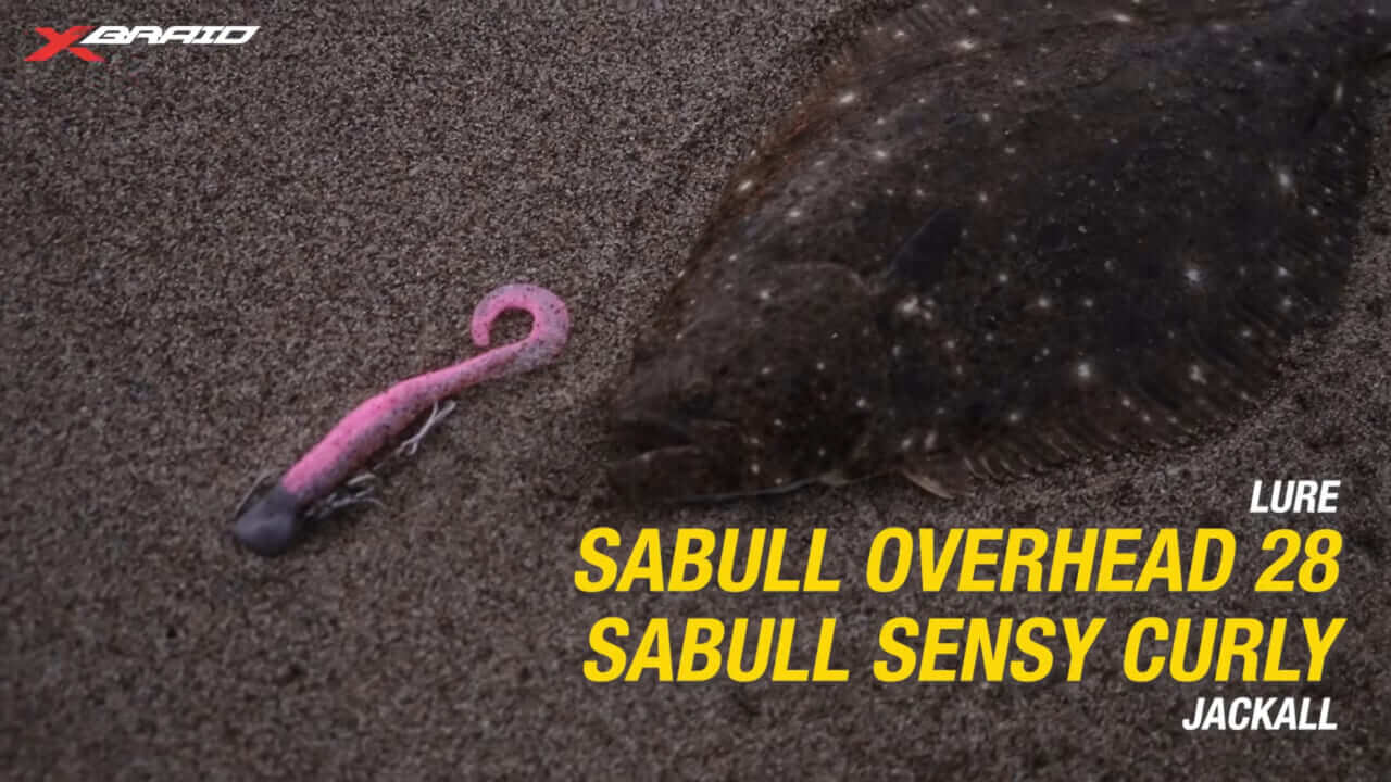 ｜サーフでヒラメを狙ってみよう！初心者必見！ポイントの見極め方から装備、ライン選びまで