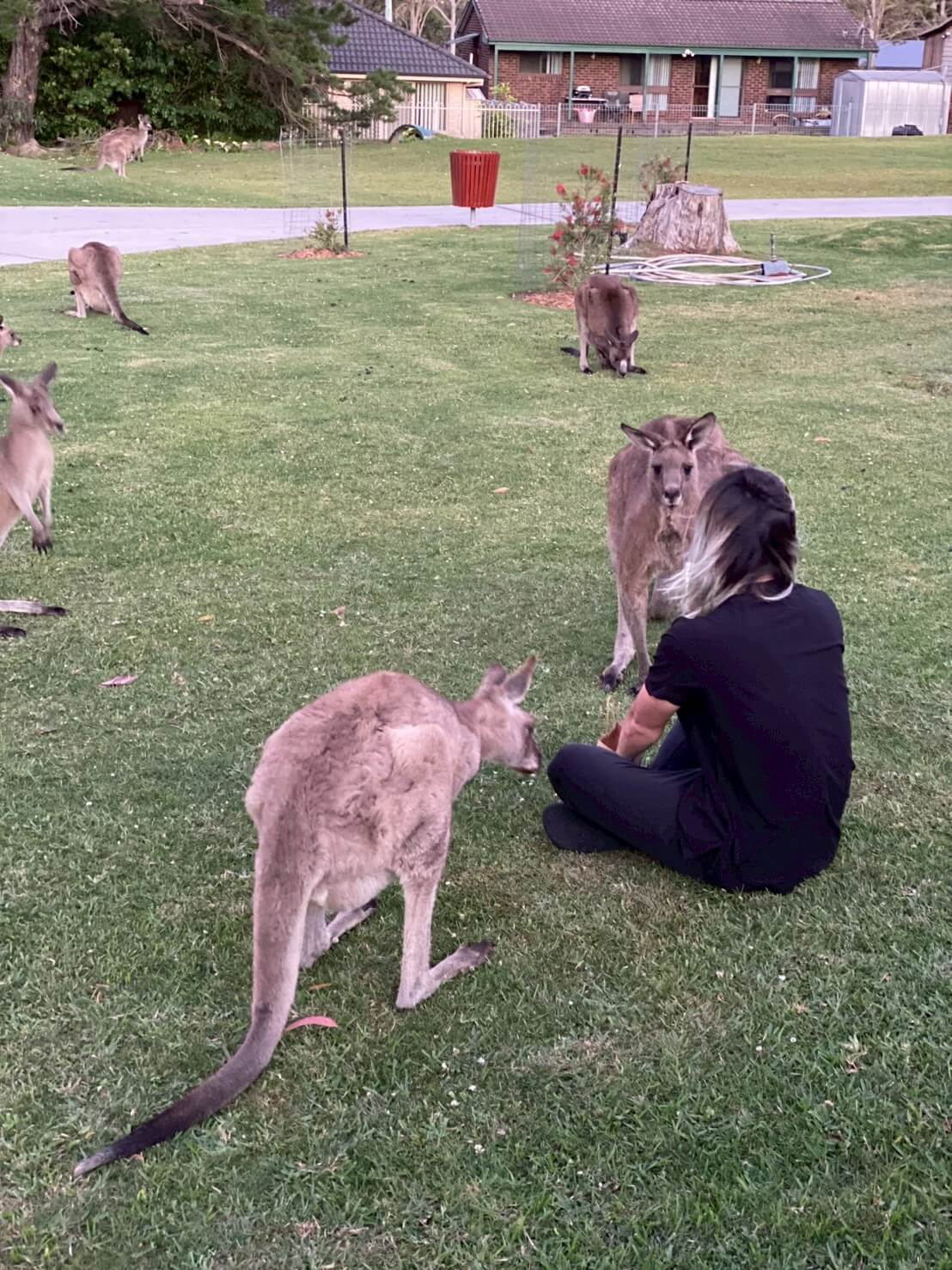 ｜「この魚はオーストラリアにしかいないヤツ！」総距離4200キロを渡る18日間のロードトリップを振り返る。
