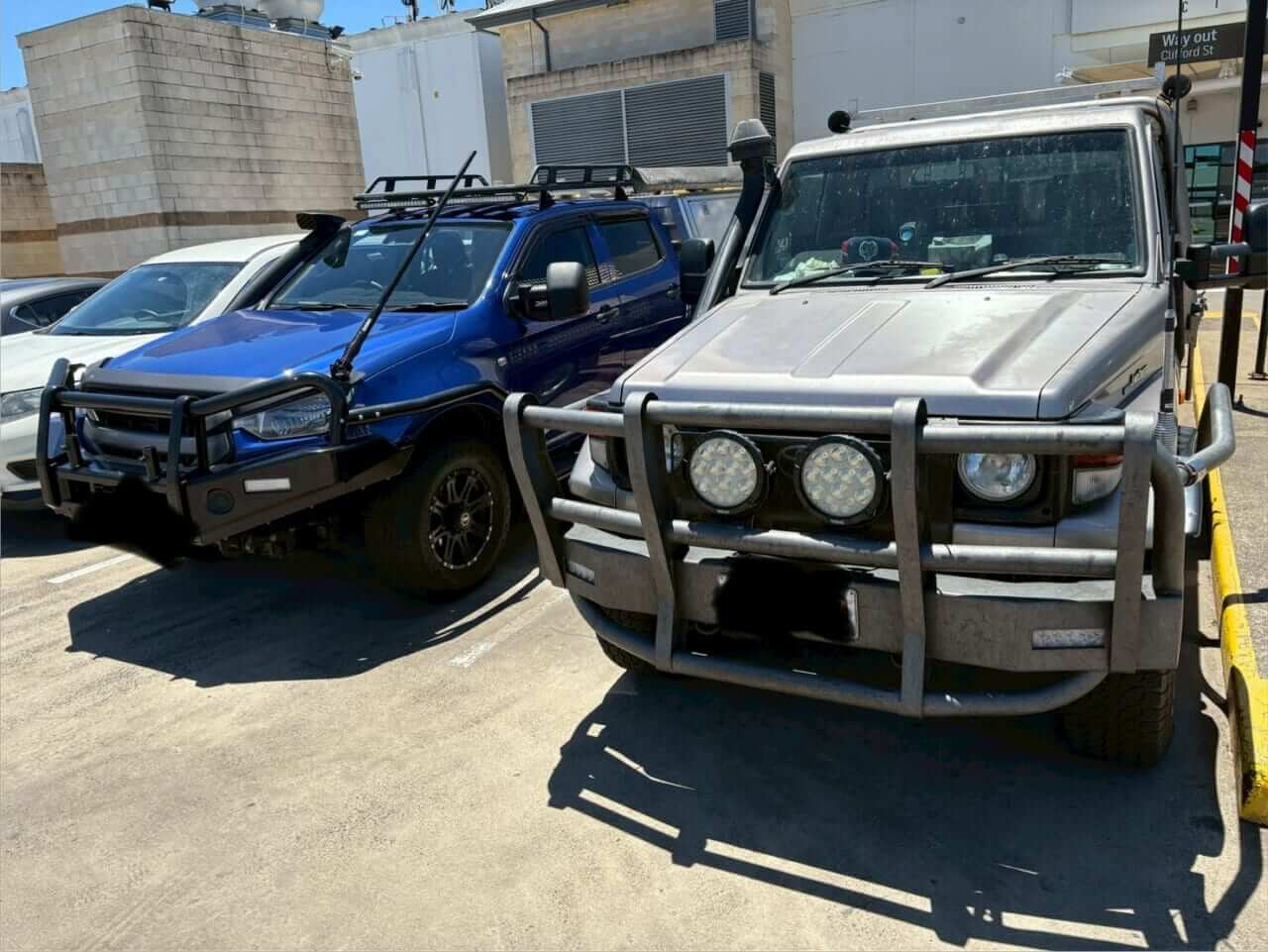 ｜「この魚はオーストラリアにしかいないヤツ！」総距離4200キロを渡る18日間のロードトリップを振り返る。