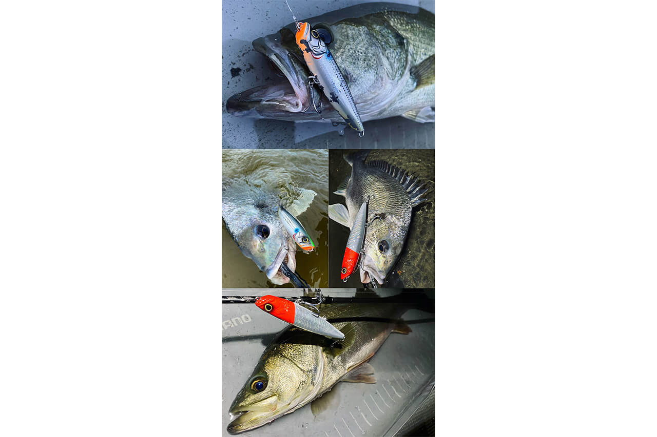 ｜シマノから登場する『魚種無制限ペンシル』。世界基準の高強度ボディで、モンスタークラスを狙える1本に。