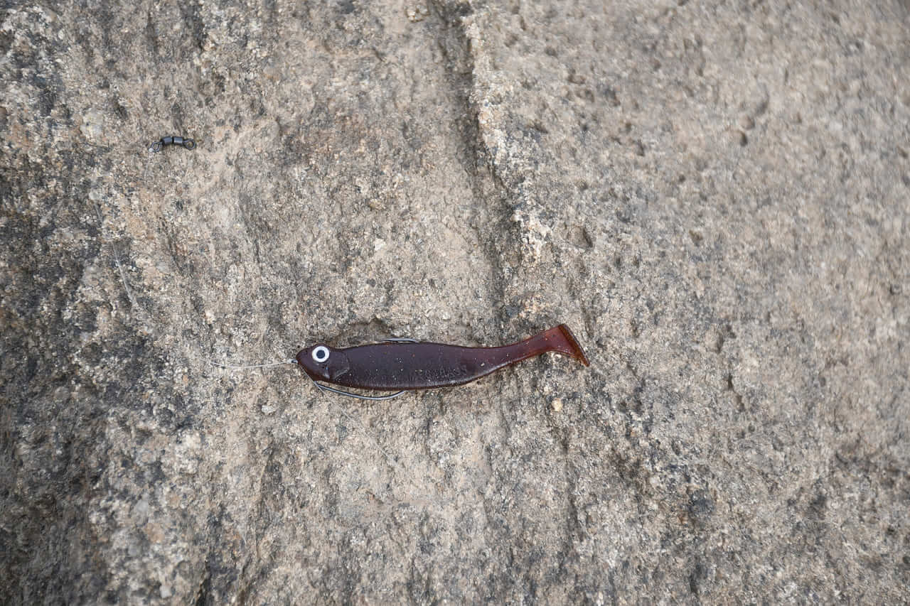 ｜オカッパリだから釣れる「でかバス」は確実に存在する! 「真冬に浅場を狙うetc…」岸釣り最新理論