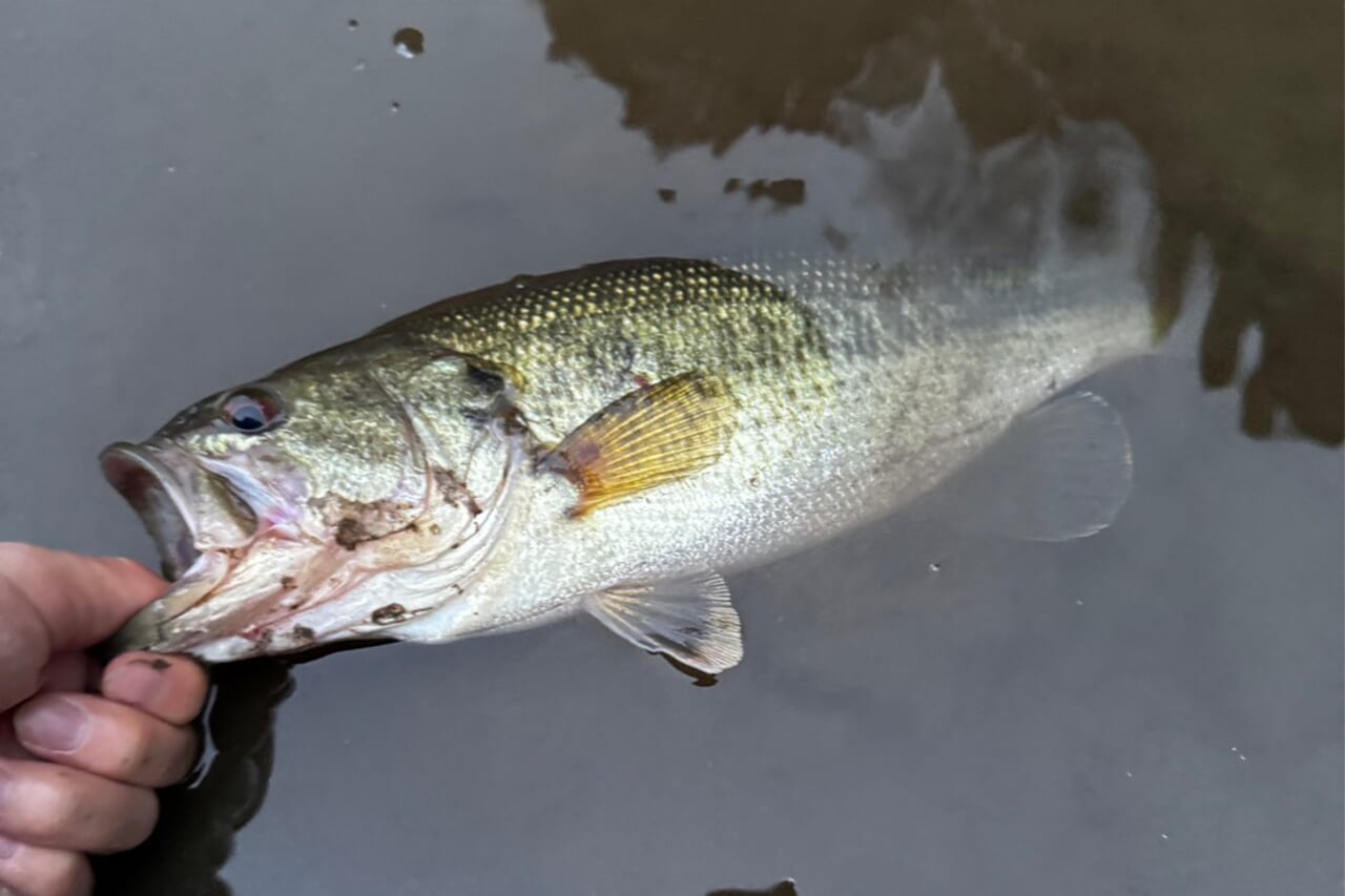 |「とんでもない事態に…」「人生最初で最後かも」3月某日、“このルアー”がヤバかった…。