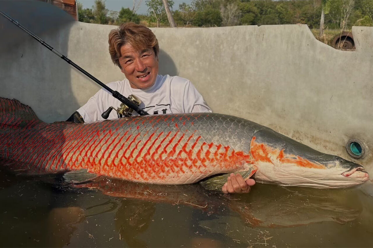 ｜シマノの『最強フリースタイルロッド』に2026年モデルが登場。拡充されたラインナップで、さらに隙のない展開に。