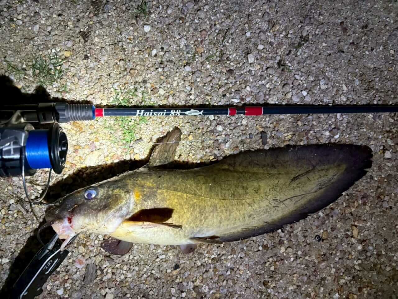 ｜「この魚はオーストラリアにしかいないヤツ！」総距離4200キロを渡る18日間のロードトリップを振り返る。