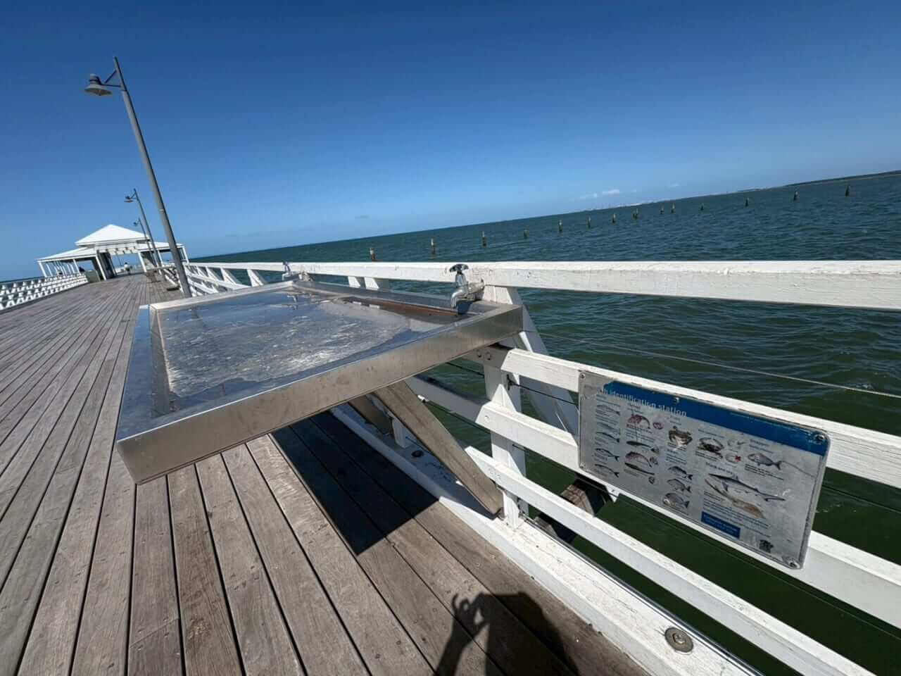 ｜「この魚はオーストラリアにしかいないヤツ！」総距離4200キロを渡る18日間のロードトリップを振り返る。