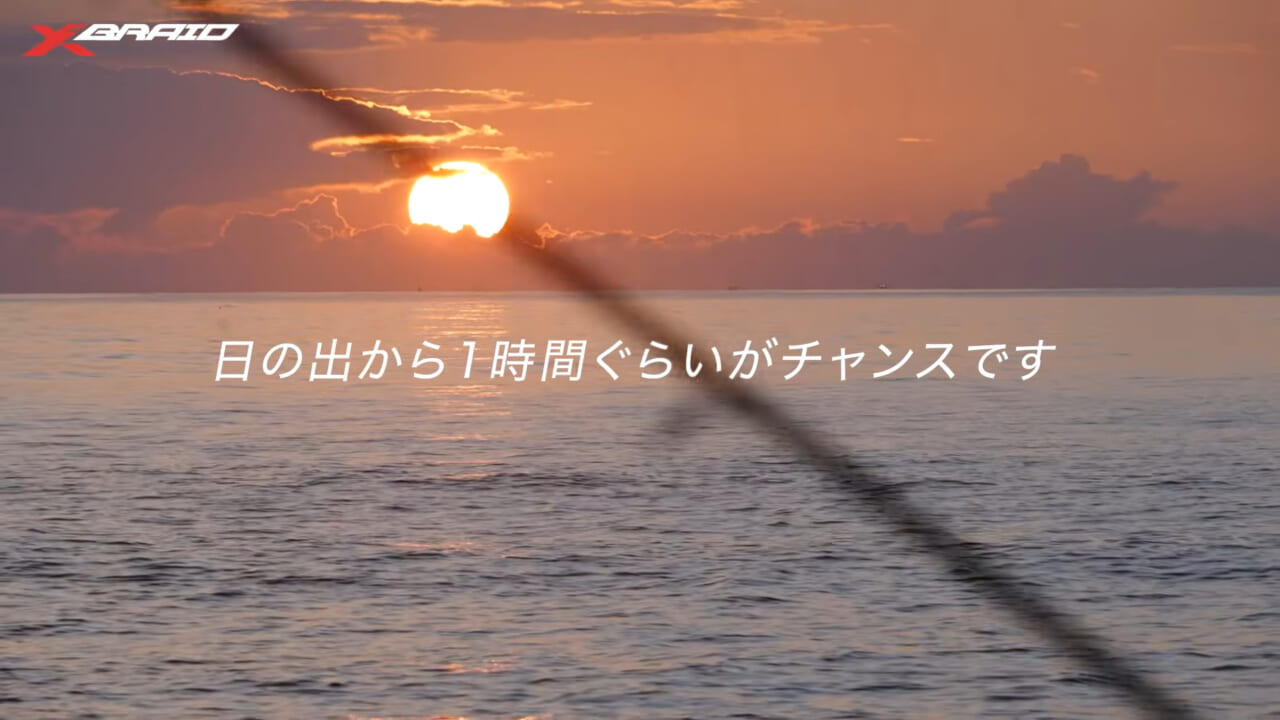 ｜サーフでヒラメを狙ってみよう！初心者必見！ポイントの見極め方から装備、ライン選びまで